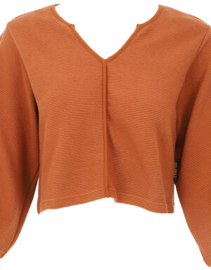 Einfarbiges Basic-Shirt, Cord-Ripp-Langarmshirt aus Biobaumwolle