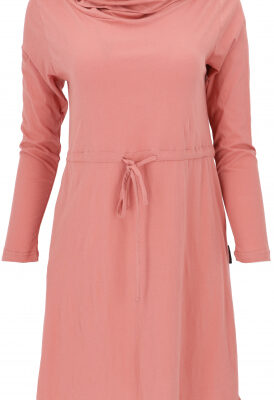 Minikleid aus Bio-Baumwolle mit Schalkapuze und langem Arm, Basic-Kleid Organic